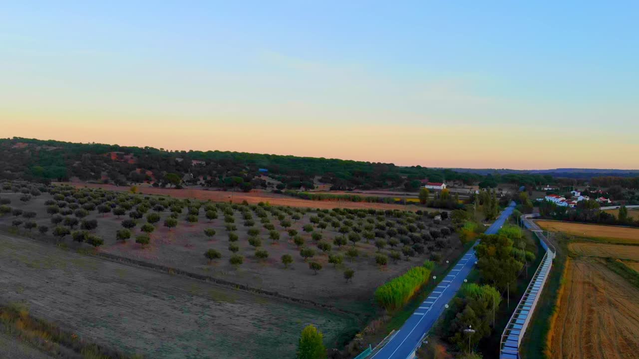 Alentejo'daki ağaçlık tarlaların üzerinden yukarı doğru eğimli drone çekimi.