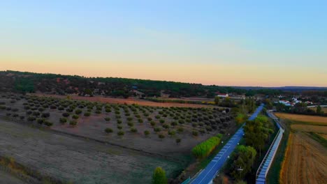 Disparo-De-Un-Dron-Inclinándose-Sobre-Algunos-Campos-Con-árboles-En-El-Alentejo