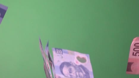 disparo en cámara lenta de billetes de peso mexicano cayendo lentamente contra una pantalla verde