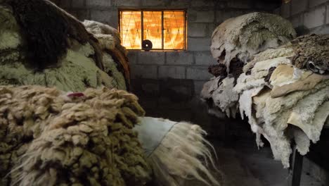 warehouse of tanned sheep, llamingo and llama skins