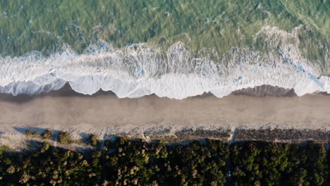 stormy ocean near the forest