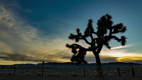 lapso de tiempo estacionario de las nubes de la puesta del sol sobre un árbol de joshua, una cerca de alambre y montañas distantes en california