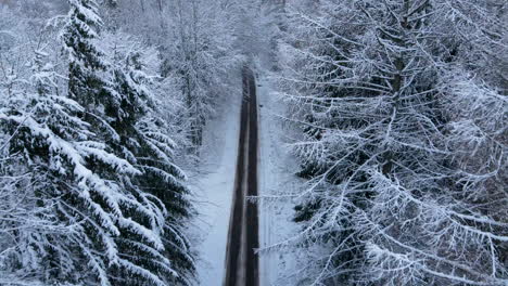 Hermoso-Camino-En-El-Bosque-De-Invierno,-Tiro-Aéreo-Cerca-De-árboles-Altos-Cubiertos-De-Nieve-Y-Camino-Negro-Con-Pistas-De-Camión