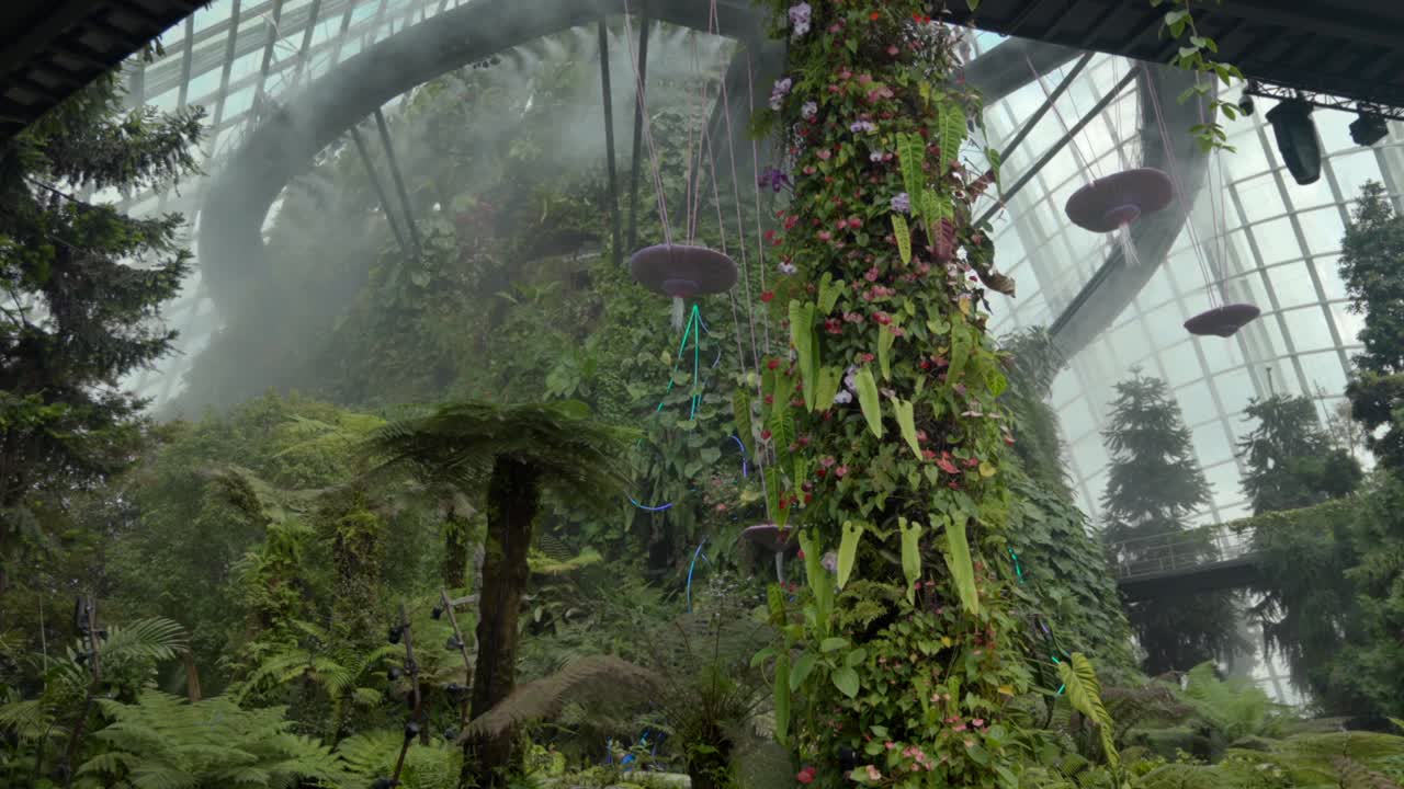Campo lungo in movimento dietro le foglie nella Cloud Forest dei Gardens by the Bay, Singapore.