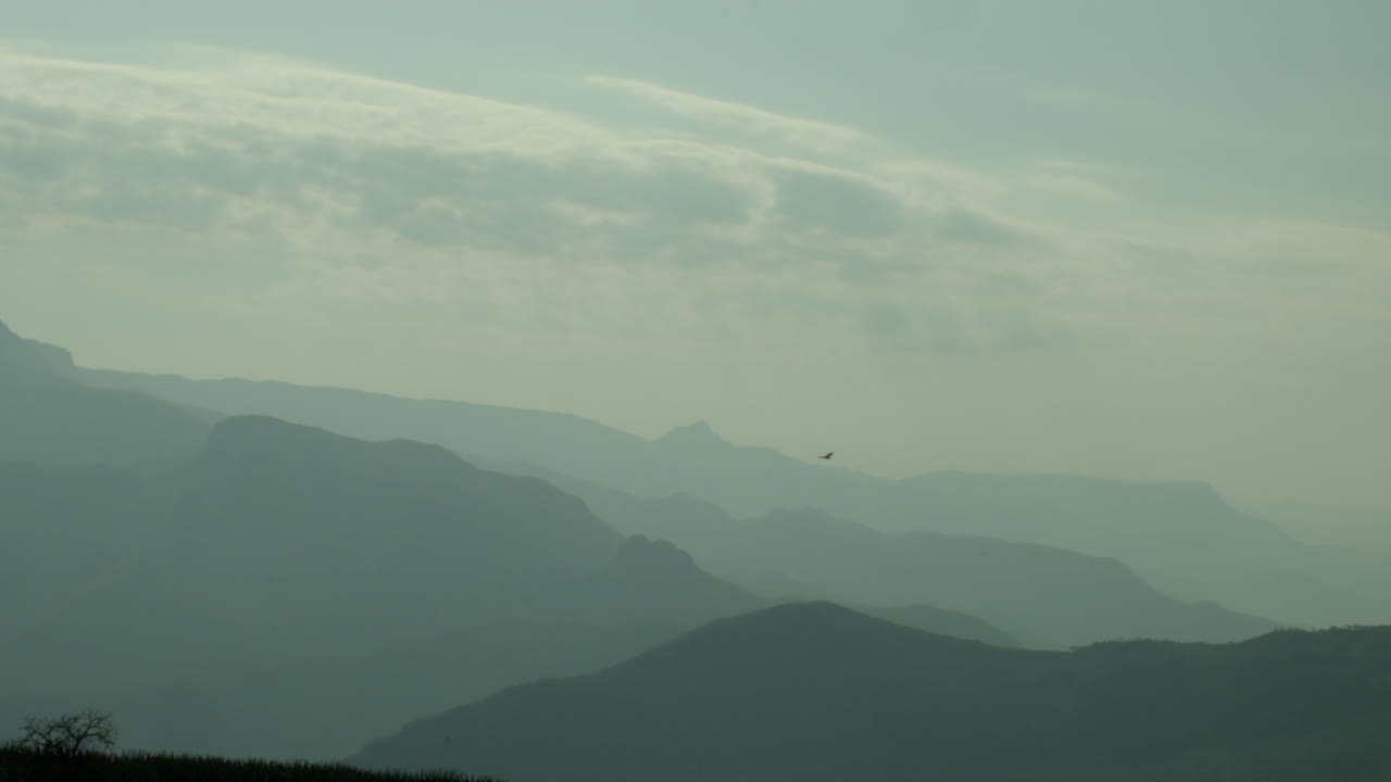 Eagle flying near the clouds in a beautiful valley with mountains full of mist.