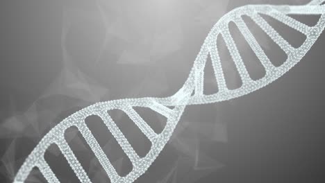abstract shape of dna molecule animation background