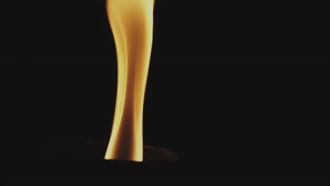 close-up of a flame