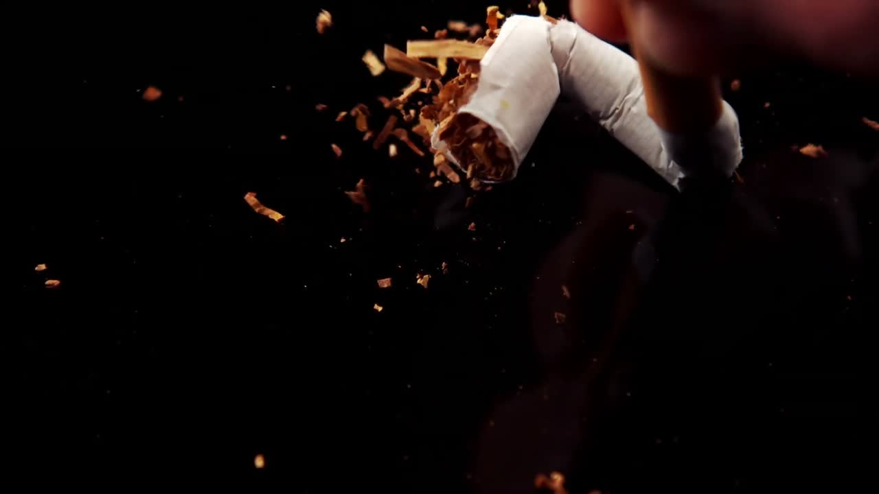 담배 를 손 으로  ⁇ 는 것