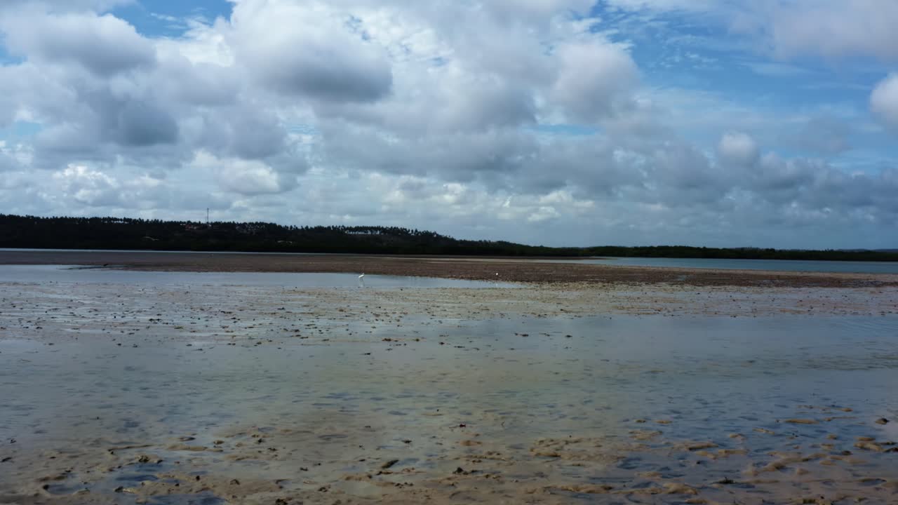 Dolly in aerial drone shot flying over a natural sand bar with exotic birds flying in the tropical Guara&iacute;ras Lagoon in the touristic beach town of Tibau do Sul, Brazil in Rio Grande do Norte