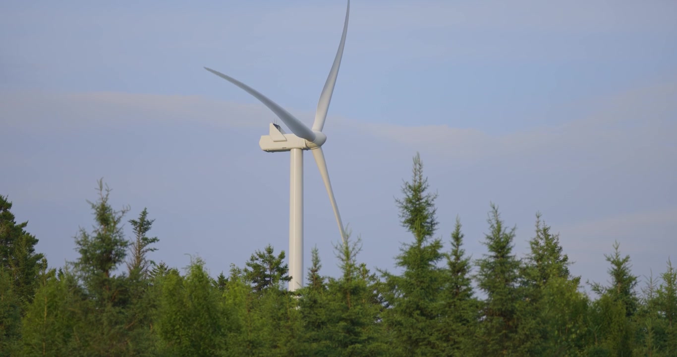 Turbina eolica che ruota sopra una fitta foresta verde sotto un cielo sereno in un paesaggio naturale