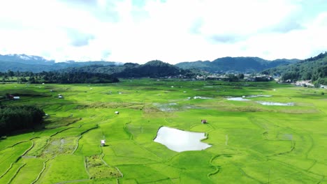 aerial view shot of paddy field in arunachal pradesh