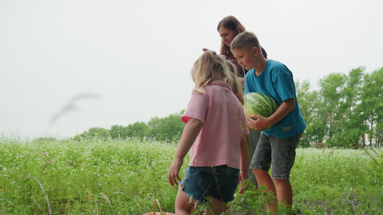 흰색 옷을 입은 엄마와 아이들이 풀밭에서 먹을 것을 찾고 있어요. 엄마가 딸과 아들에게 멜론과 야생화를 줍는 법을 가르치는 부드러운 여름 풍경이에요. 버드나무 바구니와 잔디밭에 펼쳐진 피크닉 담요, 은은한 흐린 날씨의 빛이 함께합니다.