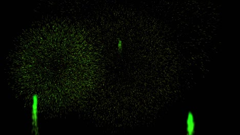 fireworks animation motion graphics