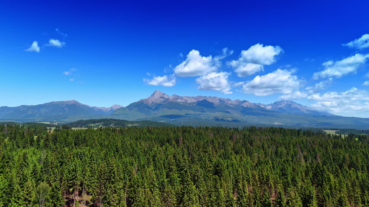 Flying over the evergreen pine tree woods covering the vast valley. Beautiful Tatras at backdrop. Slovakia