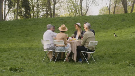 multirracial friends having an outdoor dinner in the park