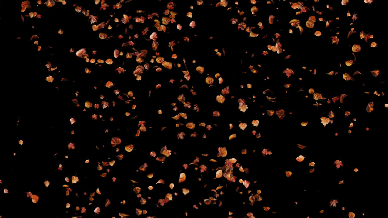 Looped Autumn Background with Falling Leaves