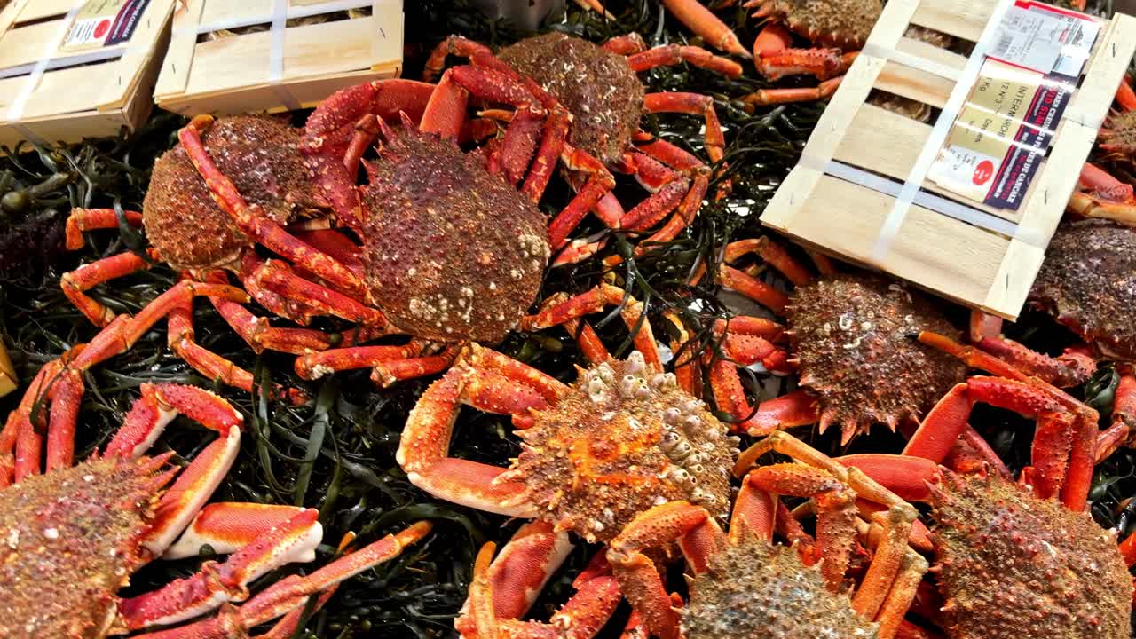 Caranguejos vermelhos vibrantes e amêijoas expostos sobre um leito de algas marinhas num mercado. Ideal para blogs de culinária ou promoções de frutos do mar.