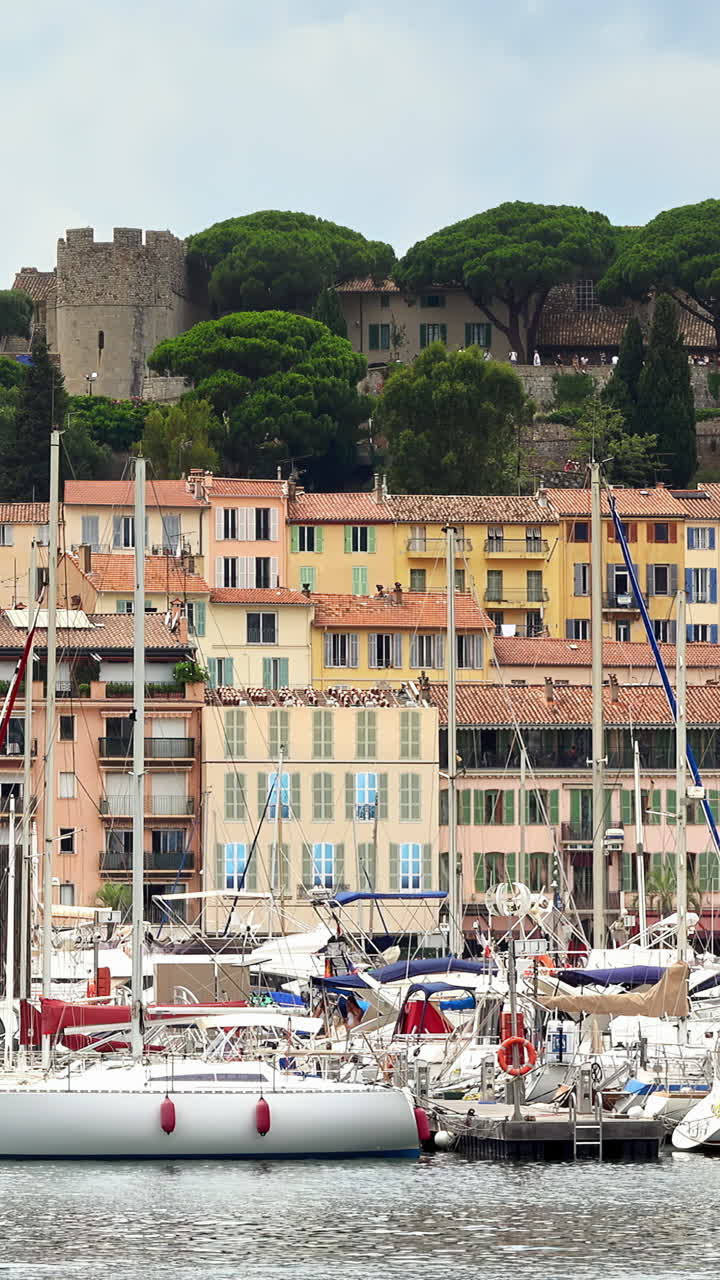 Boats docked in the Port de Cannes. Vertical, Cannes, France
