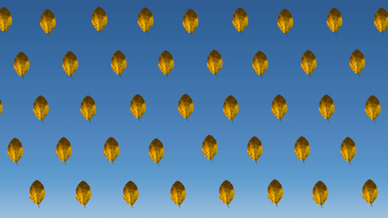 파란색 배경에 가을 노란색 잎의 줄의 애니메이션