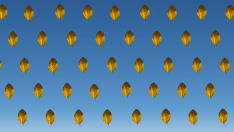 animación de filas de hojas amarillas de otoño sobre fondo azul