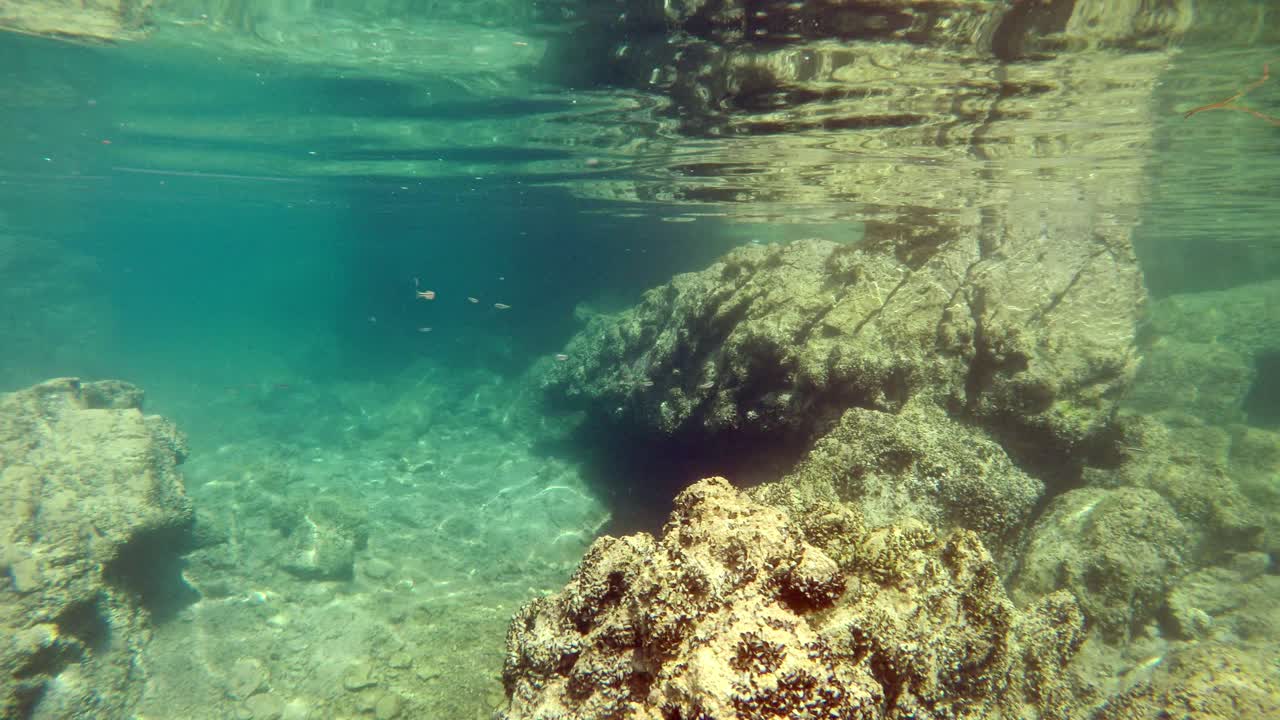 fondo del lago ohrid con peces, rocas y agua muy clara y transparente cerca de la superficie
