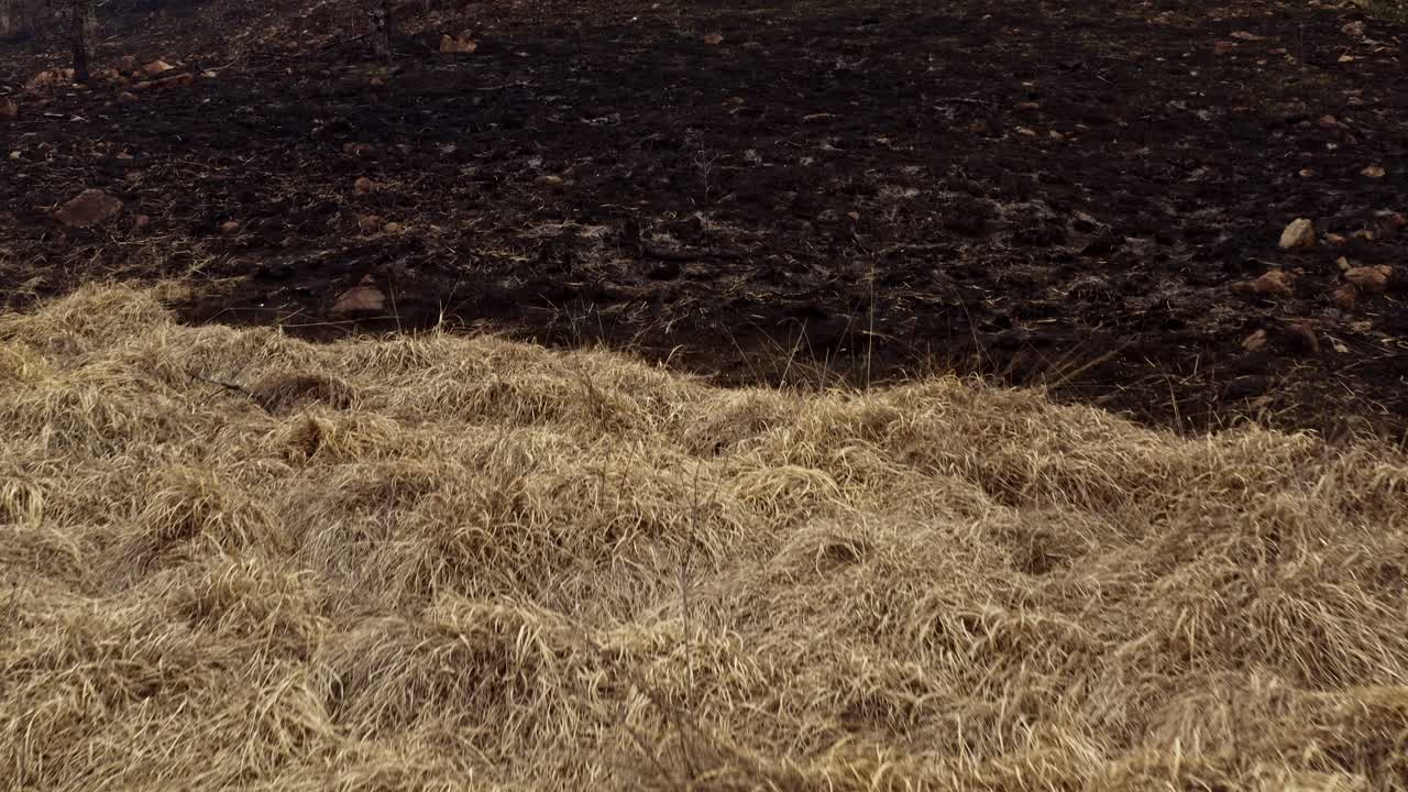 Klimaforandringernes virkning på bakker, efter en brand havde efterladt landskabet ødelagt.