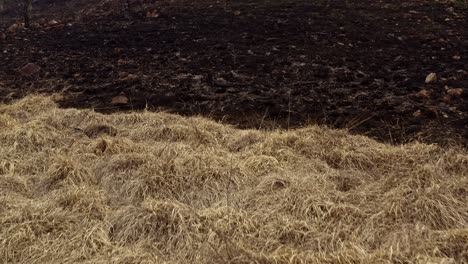 Auswirkungen-Des-Klimawandels-Auf-Hügel,-Nachdem-Ein-Feuer-Land-Zerstörte