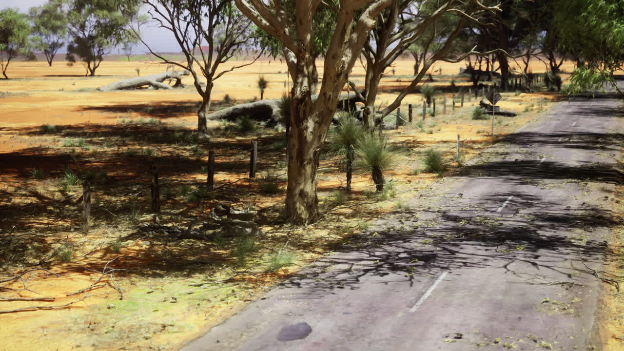 Deserted road surrounded by trees and shrubs in arid landscape