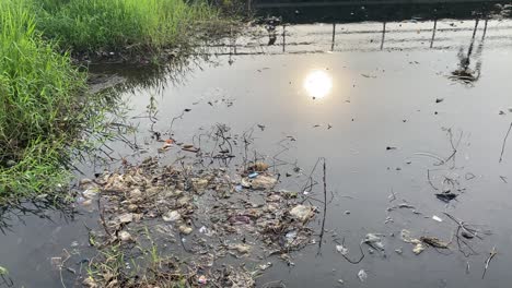 puddles, or dirty rivers with some floating trash. Environmental issues.