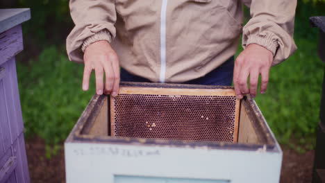 Imker-Fügt-Rahmen-In-Den-Bienenstock-Im-Bienenhaus-Ein