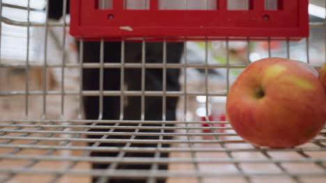 view of a person in a black outfit placing grapes in a shopping trolley that already contains an apple. captured with a handheld camera in a bustling grocery store environment