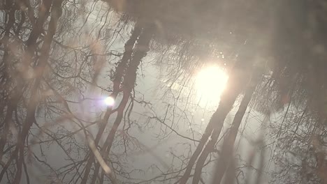 winter sun reflected in lake