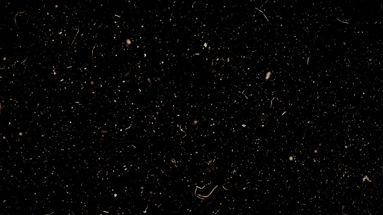 필름 곡물 질감