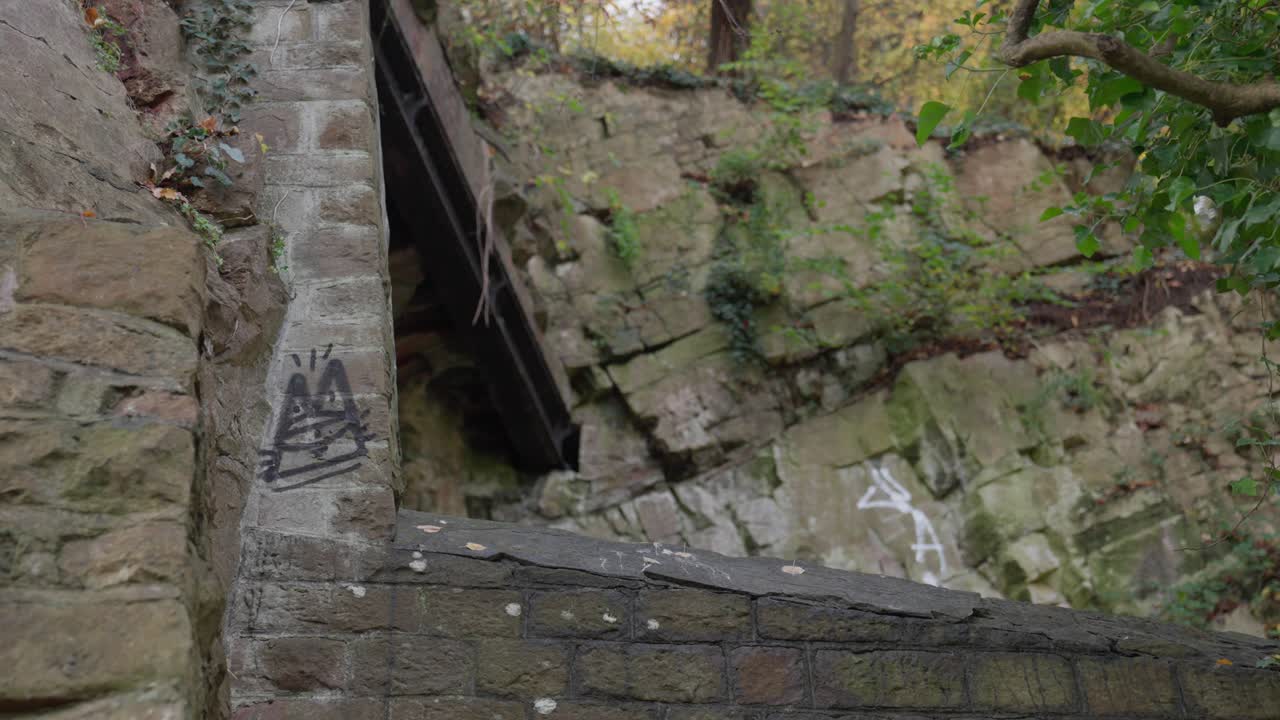 슬로우 모션 궤도 샷