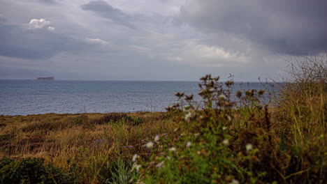 Zeitrafferaufnahme-Von-Trockenem-Gras,-Das-Sich-An-Einem-Bewölkten-Tag-Im-Wind-Entlang-Der-Küste-Bewegt