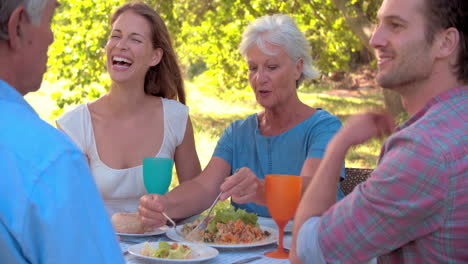 una pareja de adultos mayores y jóvenes comiendo juntos al aire libre