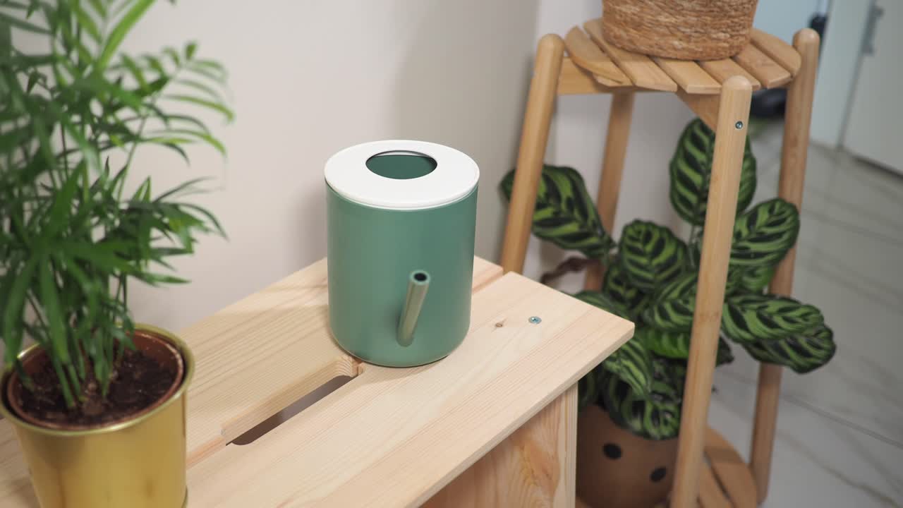 Watering can and plants on a table