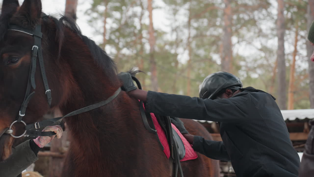 Alegre momento ecuestre, un hombre con casco interactúa con una yegua enérgica, escena rústica invernal que muestra a un alegre jinete y un caballo, un cuidador jovial conduce a un caballo vivaz por un cercado nevado.