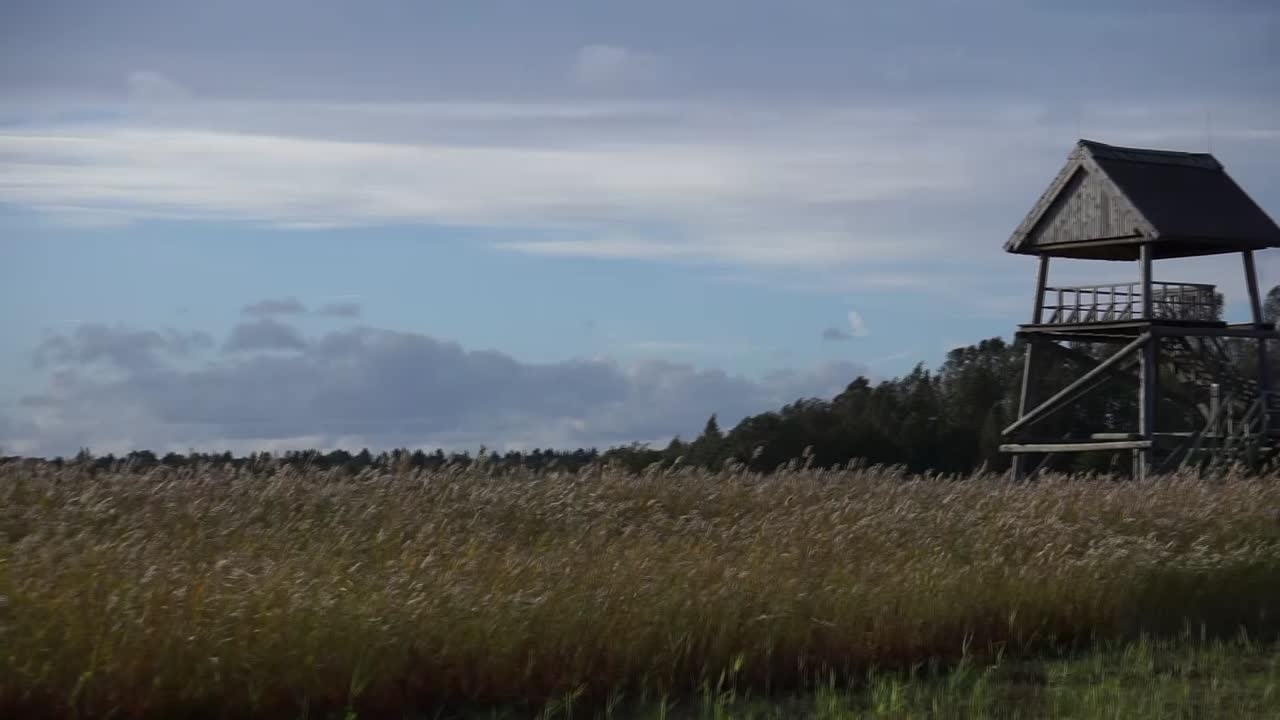 Birdwatch house near the lake