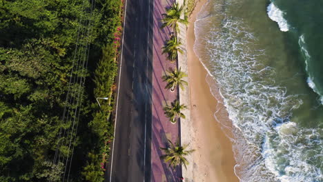 camino tropical cerca de la costa del océano arenoso con línea de palmeras, vista aérea de drones