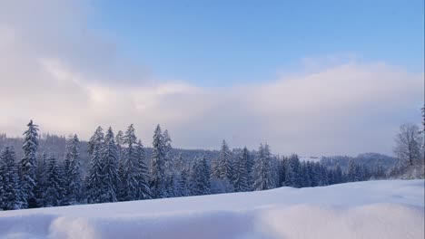 Hermoso-Lapso-De-Tiempo-Del-Paisaje-Invernal-Con-Pinos-Cubiertos-De-Nieve