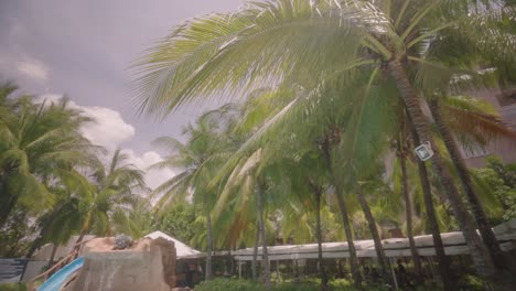 relajante escape junto a la piscina en la bahía de subic volviéndose a la luz del sol a través de exuberantes palmeras en las filipinas