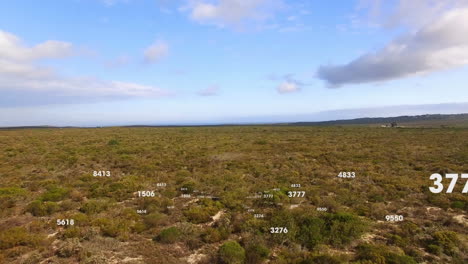 animación de redes de conexiones con números sobre el paisaje
