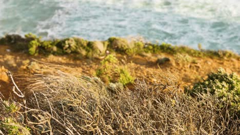 waves crashing against a rocky coastal cliff