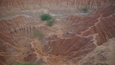 colombia tatacoa red desert landscape hills soil canyon dry tropical forest