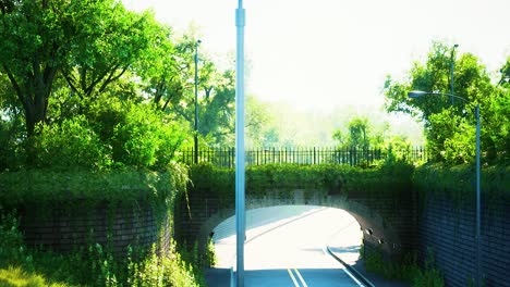 arch bridge with living bush branches in park