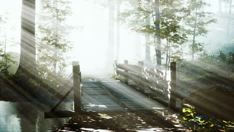 Mystische-Alte-Holzbrücke-Im-Nebel