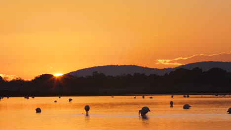 sun setting behind a mountain with flamingos in foreground