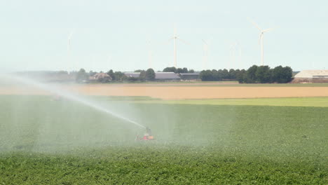 Sistema-De-Riego-Agrícola-Rociando-Agua-Sobre-Cultivos,-Aerogeneradores-En-Segundo-Plano,-Cámara-Lenta