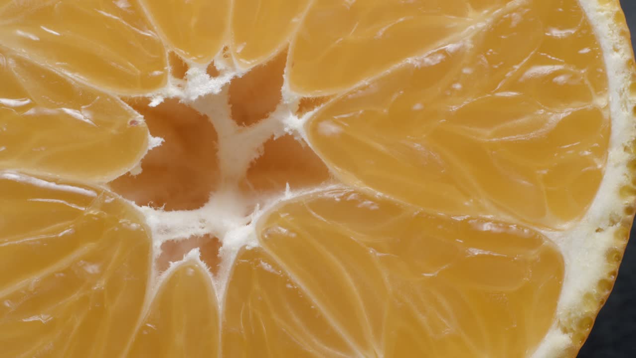 클레멘틴 매크로 회전 스튜디오 4k